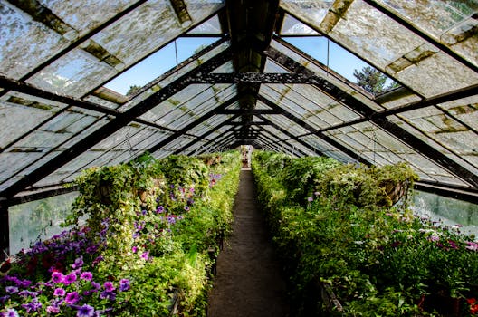 green roof with plants and flowers