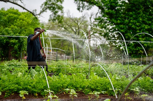 community garden promoting water conservation