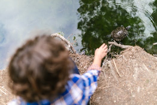 youth-led water conservation program