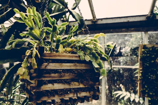 urban container garden