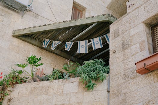 urban balcony garden with native plants