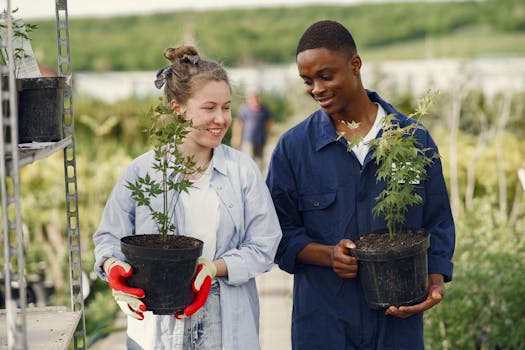 community garden with people planting