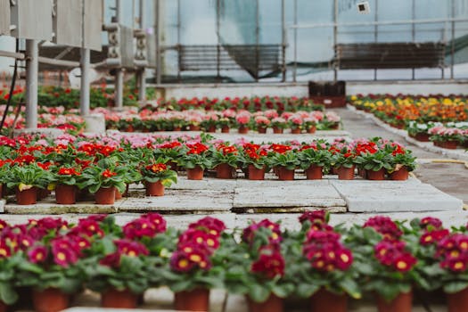 lush garden with various plants