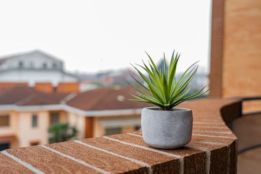 container garden on a small balcony