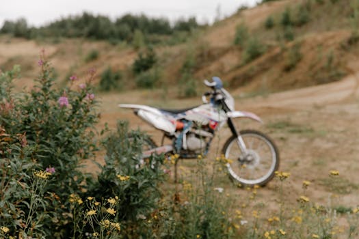 a scenic biking trail