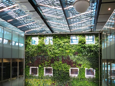 green roof with plants absorbing rainwater