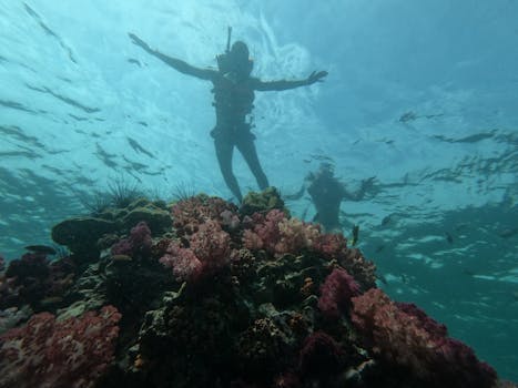 colorful coral reef ecosystem