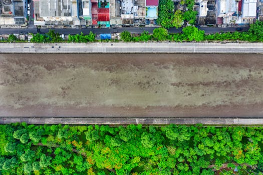 image of polluted urban waterway