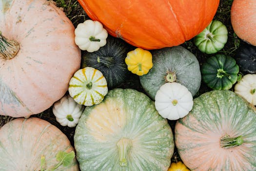 fresh organic vegetables from a local farm