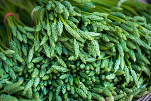 shopping at a local farmer’s market