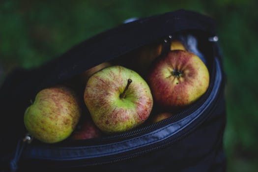 freshly picked organic apples