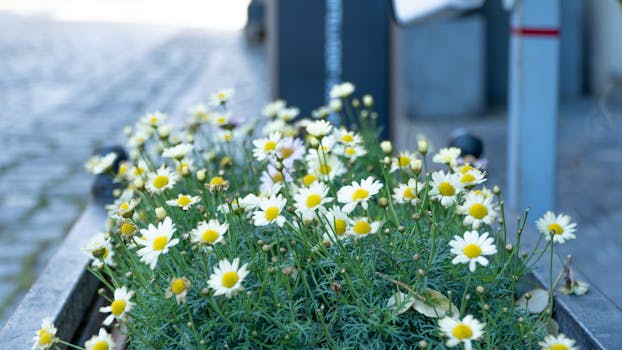 urban gardening workshop