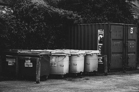 organized recycling bins