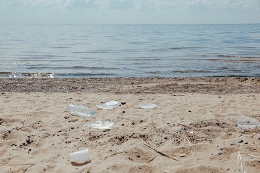 a polluted beach