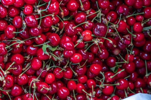 vibrant local market with fresh produce