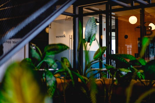 eco-friendly workspace with plants