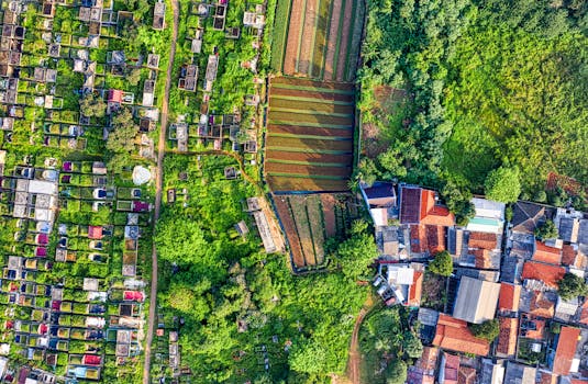 community urban farm