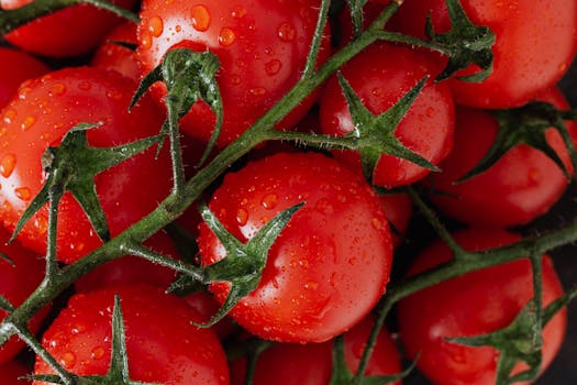 fresh produce from a community-supported agriculture program