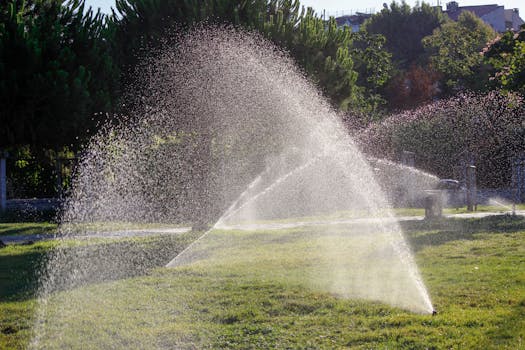 urban garden with drip irrigation system