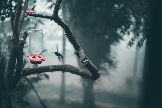 milk carton bird feeder